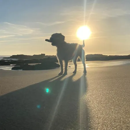 La Pepa Marinera * Lastres